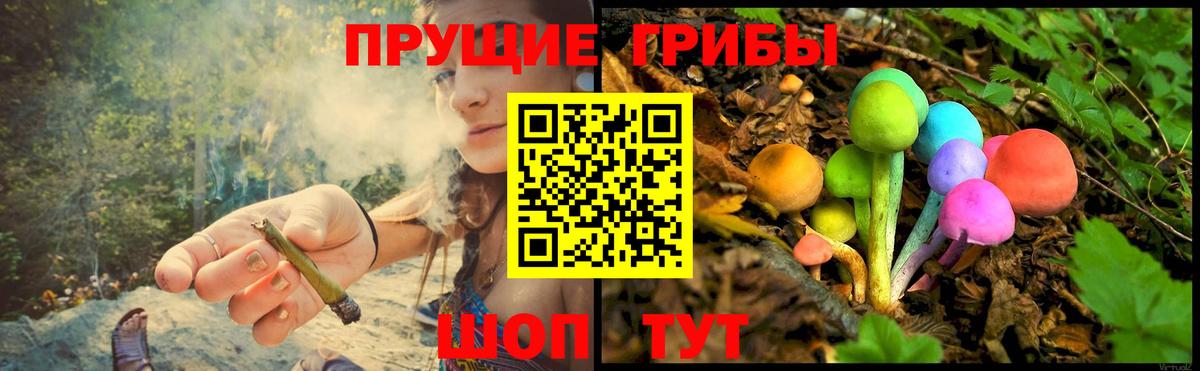 Галлюциногенные грибы Cubensis Строитель